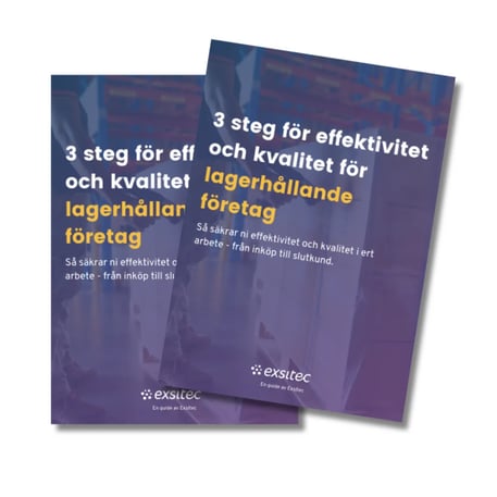 Guide: 3 steg för effektivitet och kvalitet för lagerhållande företag