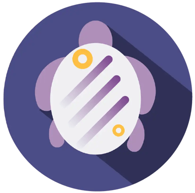 turtleexsitec