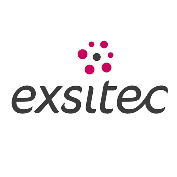 https://www.exsitec.se/hubfs/Bilder-Foto%20root/logos/logotyper%20och%20ikoner/logos/exsitec-logo1.png