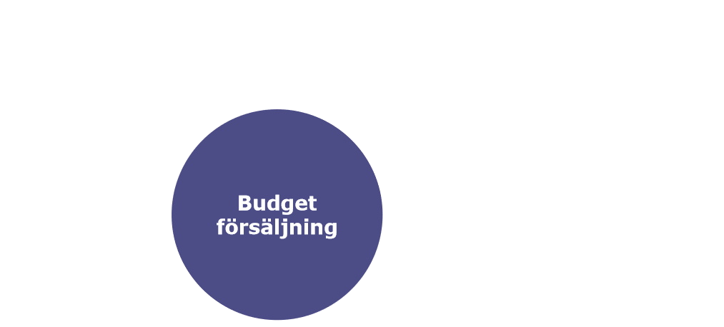 budget-prognos-planering-traditionell_v4