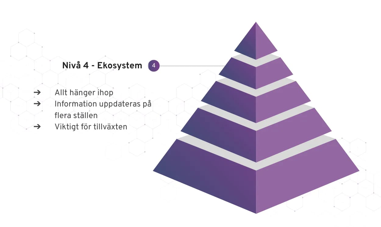 Digitaliseringspyramiden 4