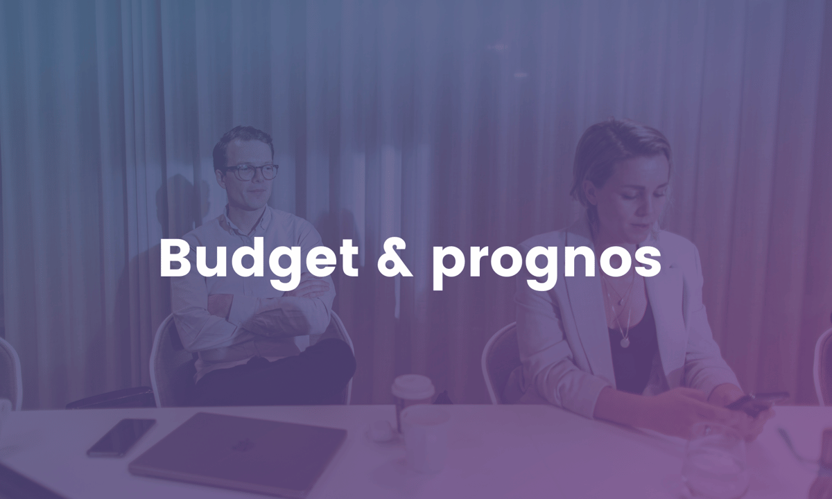 Budget & prognos