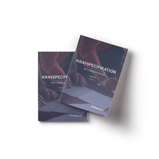 kravspecifikation-affärssystem