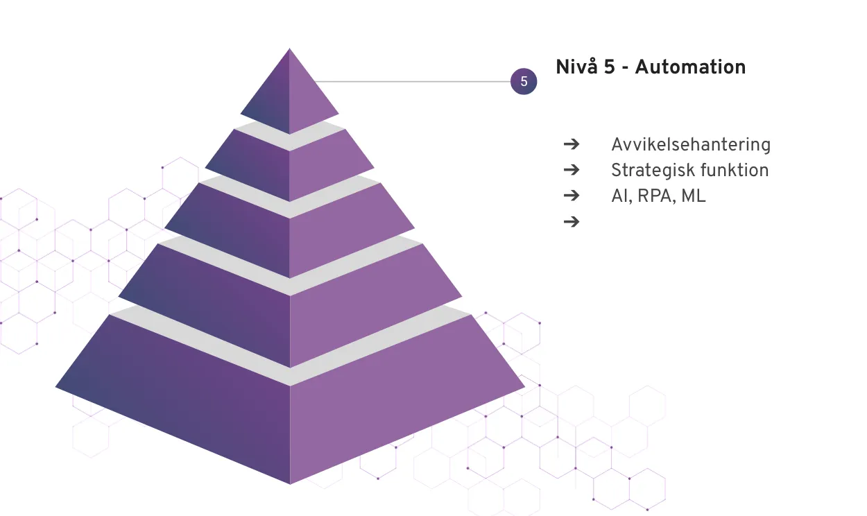 Digitaliseringspyramiden 5