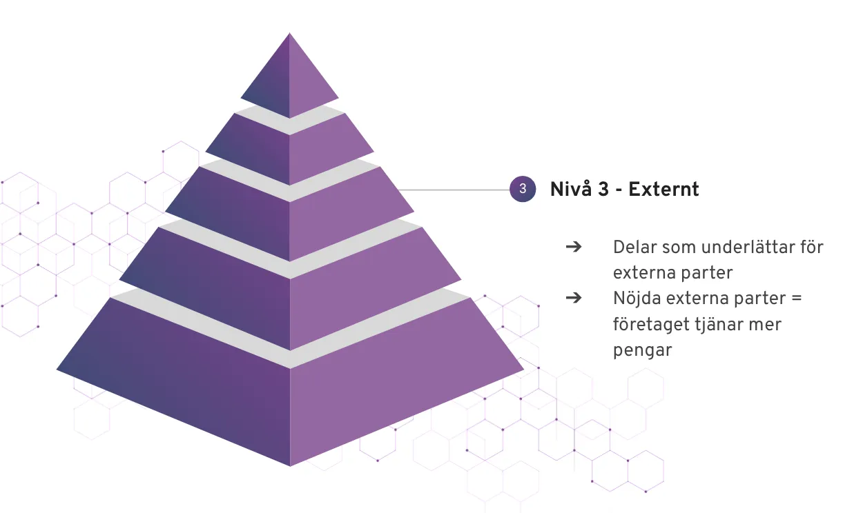 Digitaliseringspyramiden nivå 3