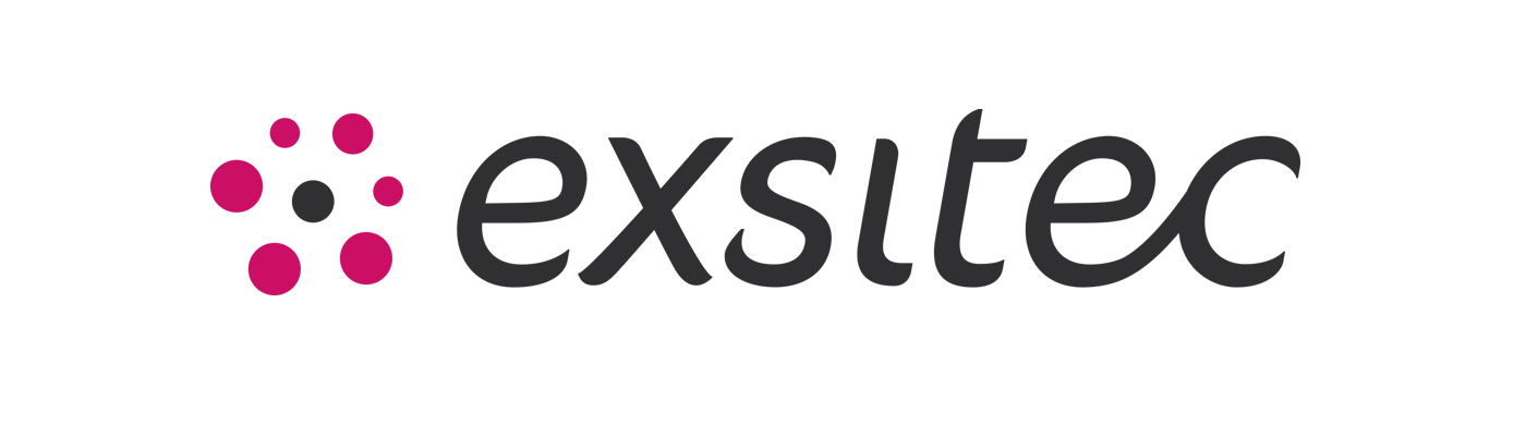 Exsitec_Logo_L_Rubine_RGB_v1