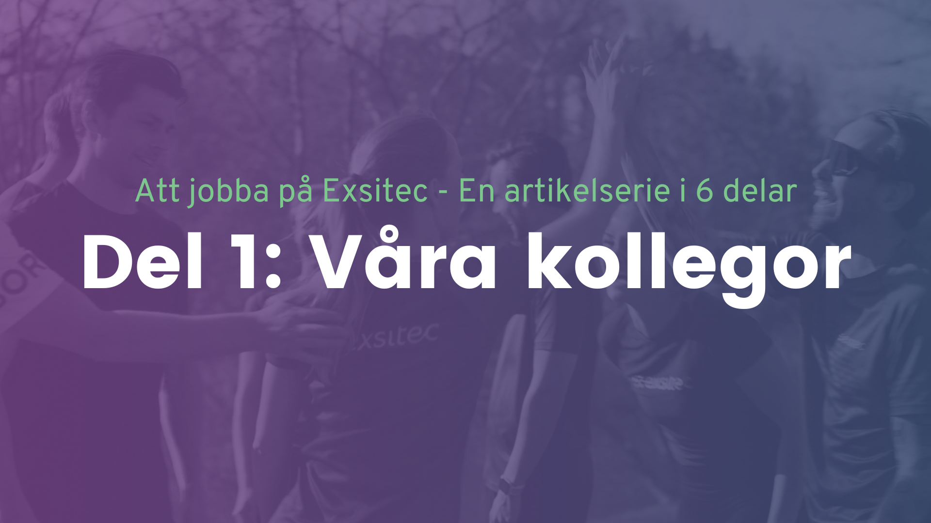 Våra kollegor på Exsitec