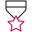 Orion_star-medal
