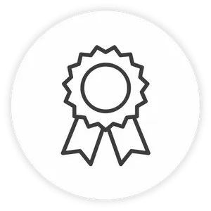 web-ball-prize-diploma