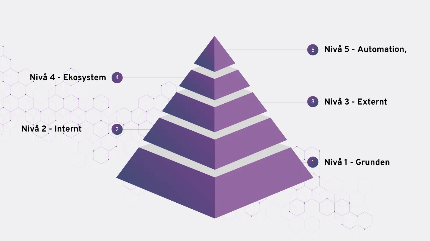 Digitaliseringsmognad med digitaliseringspyramiden