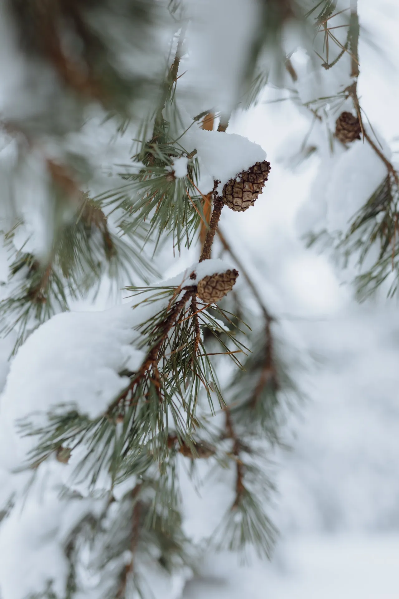 pexels-thirdman-6499199